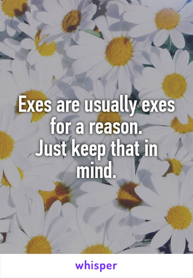 Exes are usually exes for a reason.
Just keep that in mind.