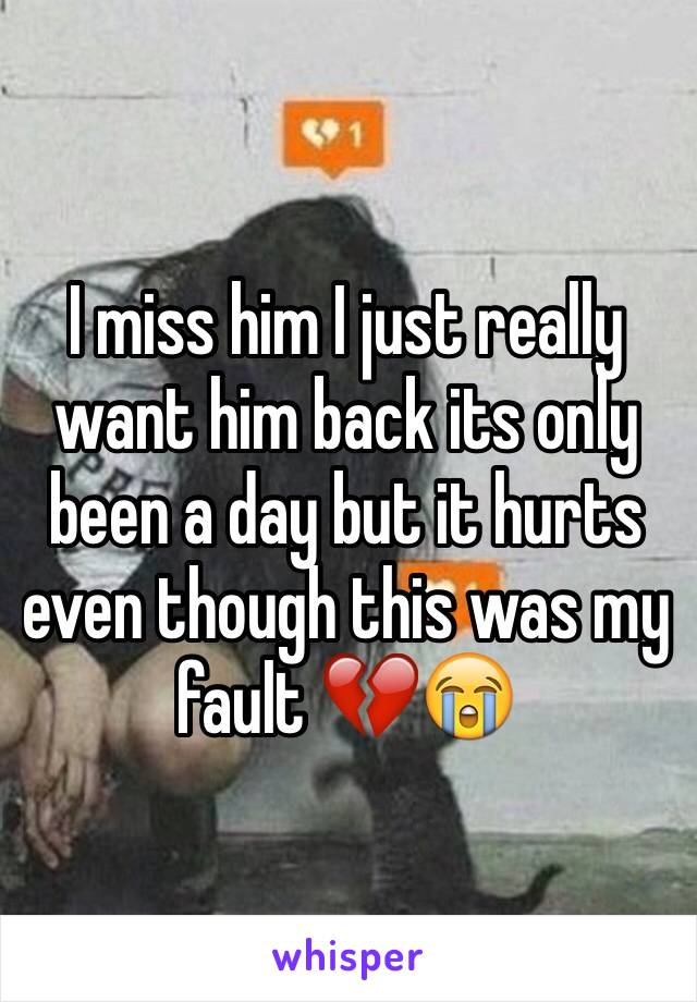 I miss him I just really want him back its only been a day but it hurts even though this was my fault 💔😭