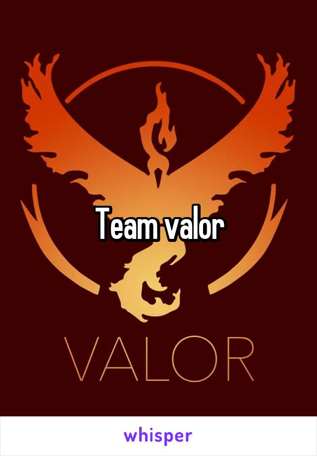 Team valor