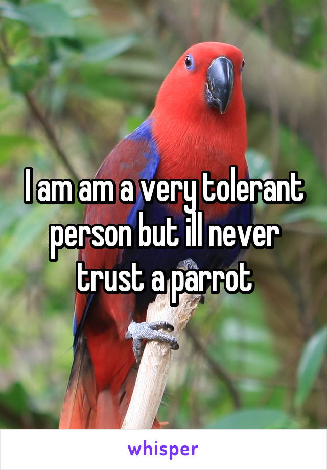 I am am a very tolerant person but ill never trust a parrot