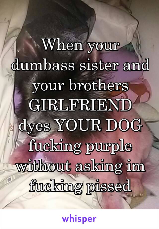 When your dumbass sister and your brothers GIRLFRIEND dyes YOUR DOG fucking purple without asking im fucking pissed