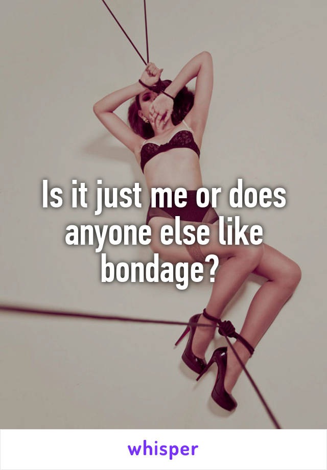 Is it just me or does anyone else like bondage? 