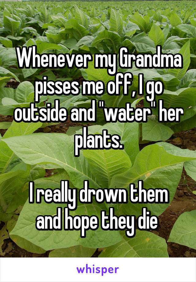 Whenever my Grandma pisses me off, I go outside and "water" her plants.

I really drown them and hope they die 