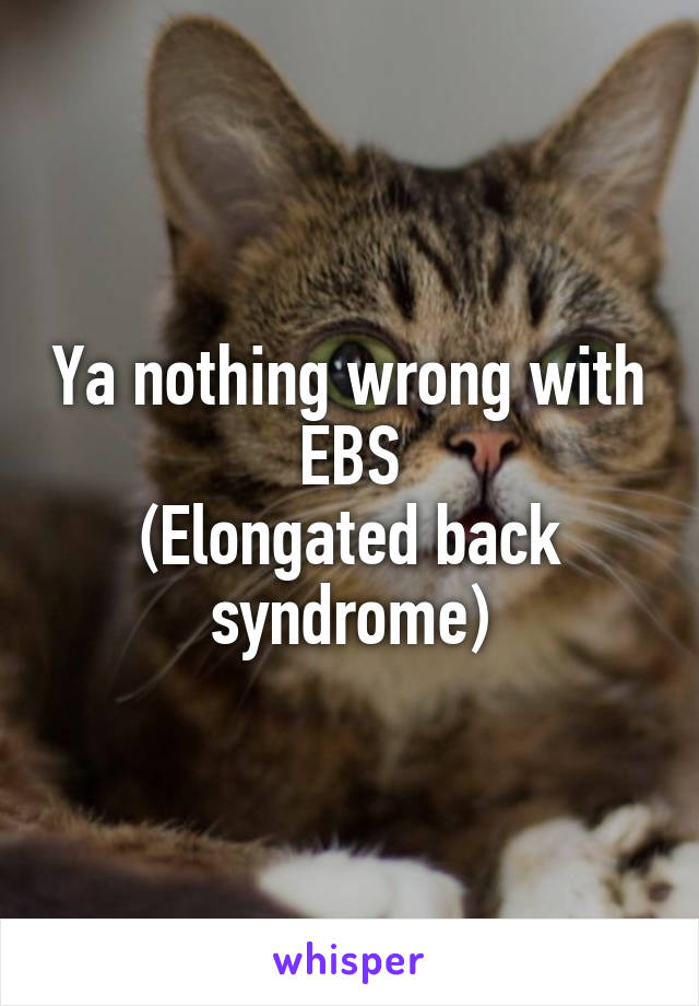 Ya nothing wrong with EBS
(Elongated back syndrome)