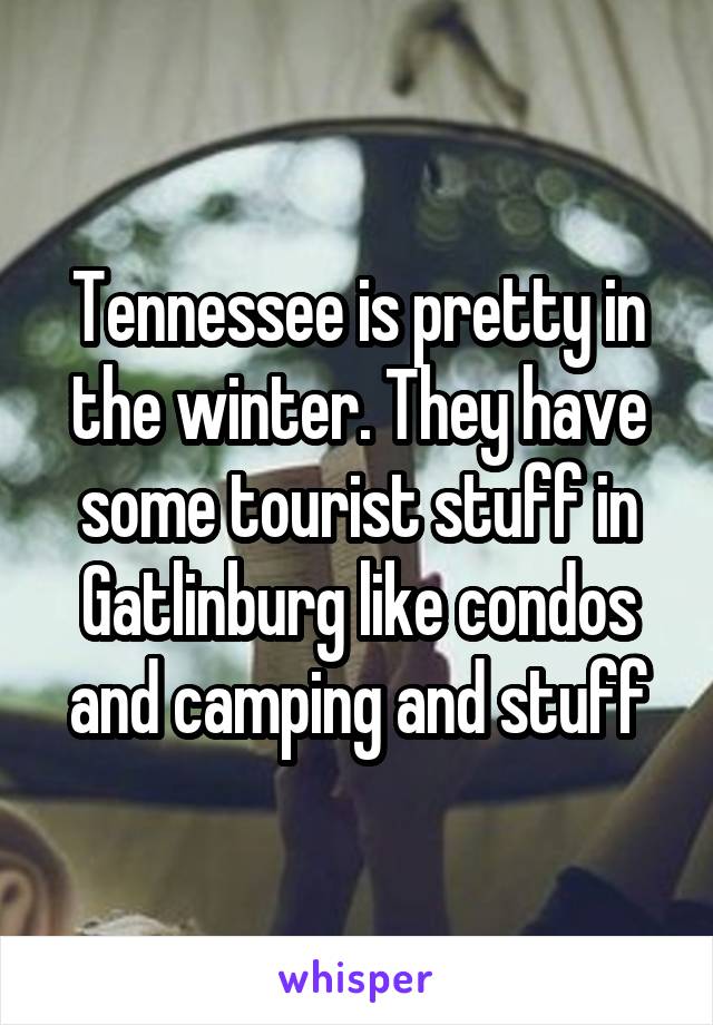 Tennessee is pretty in the winter. They have some tourist stuff in Gatlinburg like condos and camping and stuff