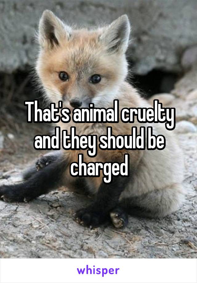 That's animal cruelty and they should be charged