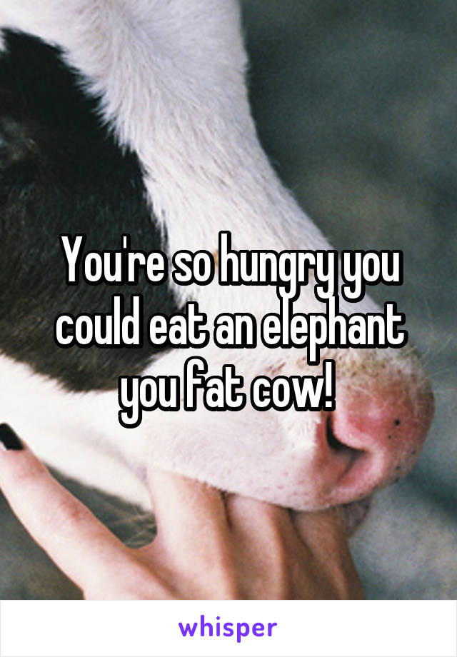 You're so hungry you could eat an elephant you fat cow! 