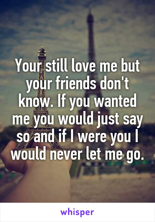 Your still love me but your friends don't know. If you wanted me you would just say so and if I were you I would never let me go.