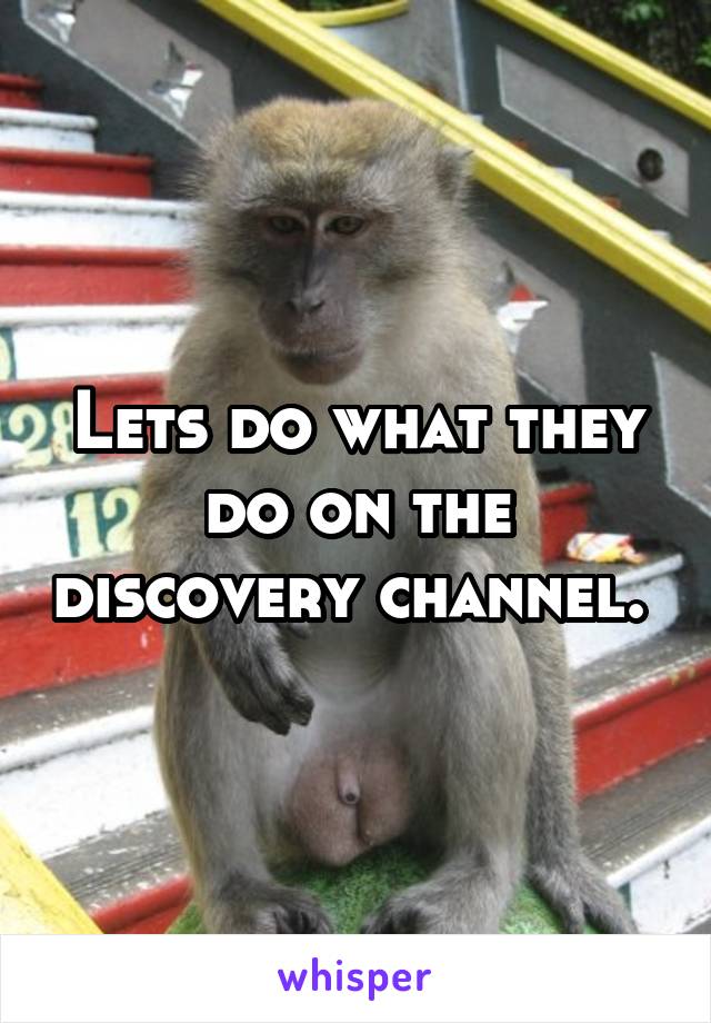 Lets do what they do on the discovery channel. 