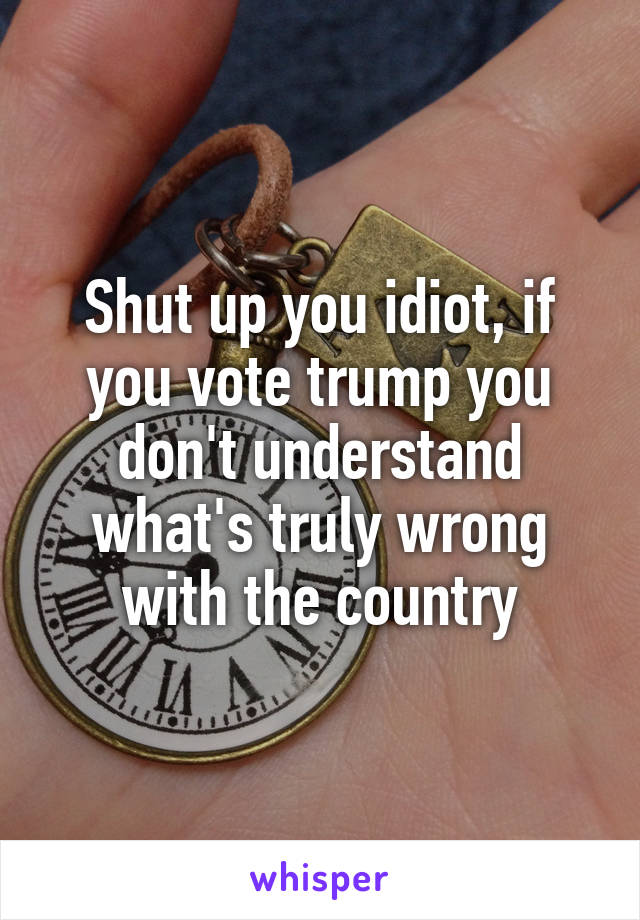 Shut up you idiot, if you vote trump you don't understand what's truly wrong with the country