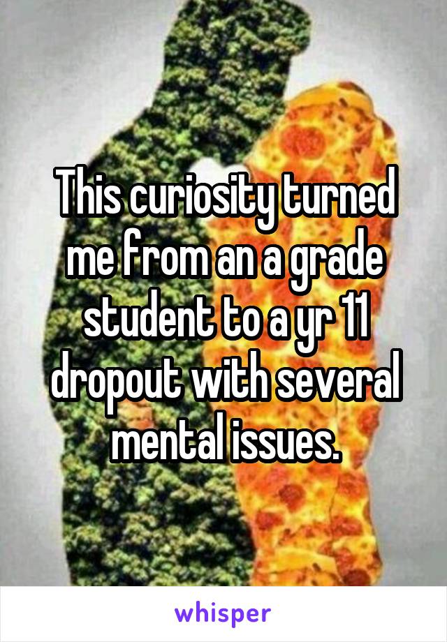 This curiosity turned me from an a grade student to a yr 11 dropout with several mental issues.