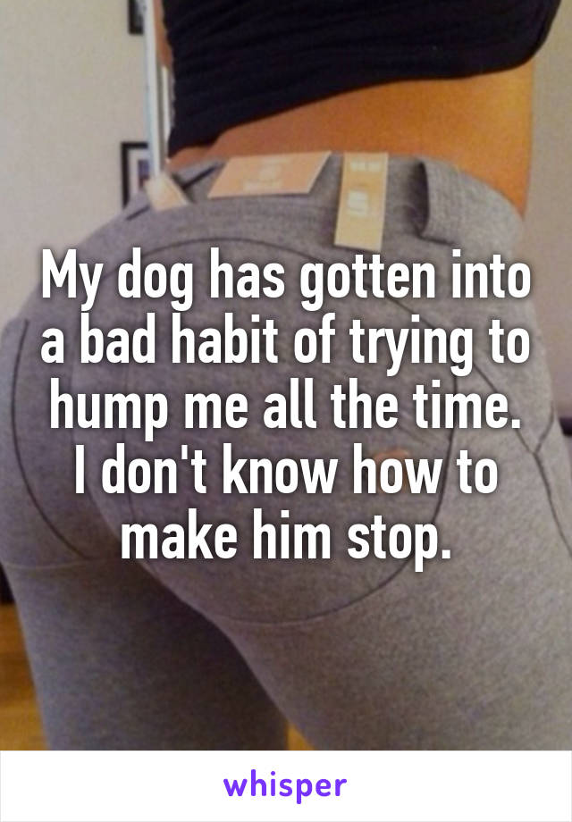 My dog has gotten into a bad habit of trying to hump me all the time. I don't know how to make him stop.