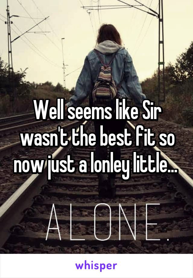 Well seems like Sir wasn't the best fit so now just a lonley little... 