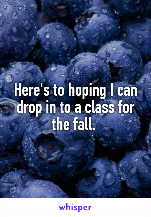 Here's to hoping I can drop in to a class for the fall. 