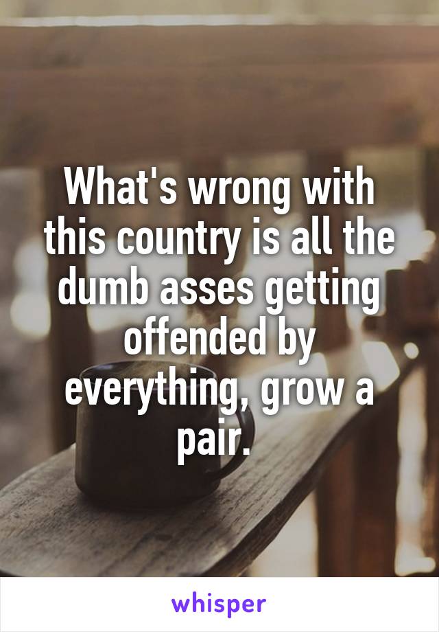 What's wrong with this country is all the dumb asses getting offended by everything, grow a pair. 