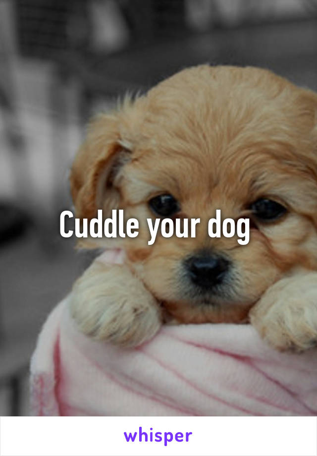 Cuddle your dog 