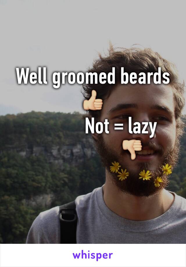 Well groomed beards 👍🏼
            Not = lazy
                 👎🏼

