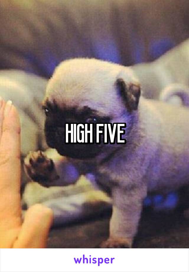 HIGH FIVE