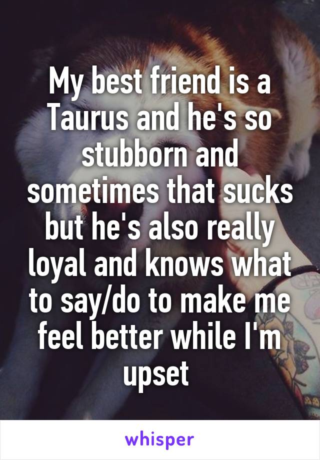 My best friend is a Taurus and he's so stubborn and sometimes that sucks but he's also really loyal and knows what to say/do to make me feel better while I'm upset 