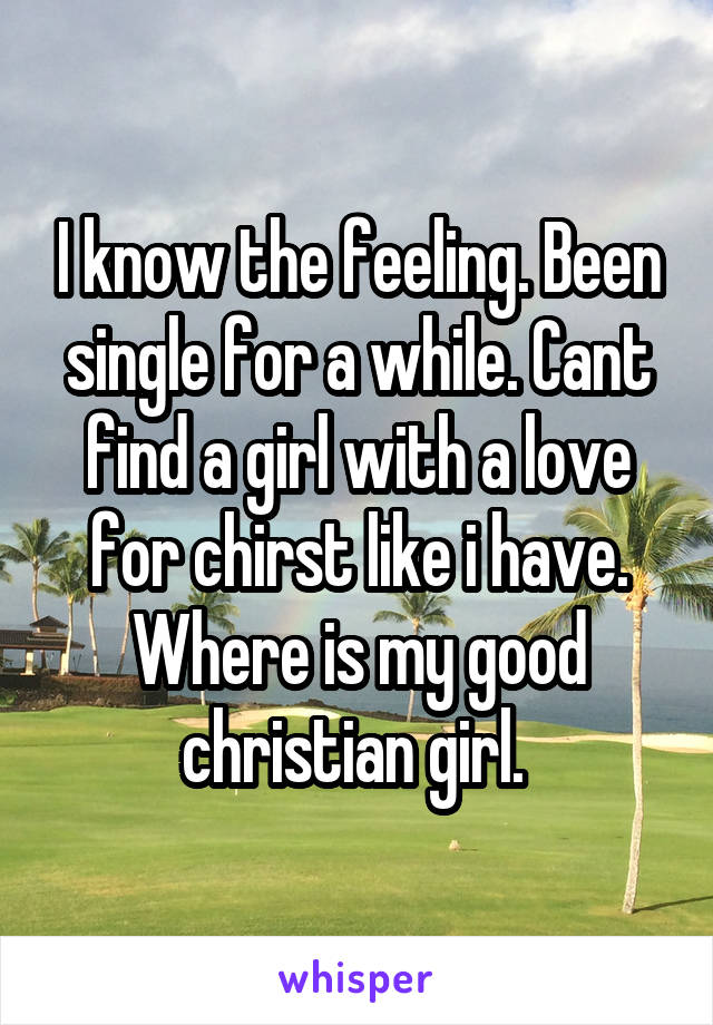 I know the feeling. Been single for a while. Cant find a girl with a love for chirst like i have. Where is my good christian girl. 