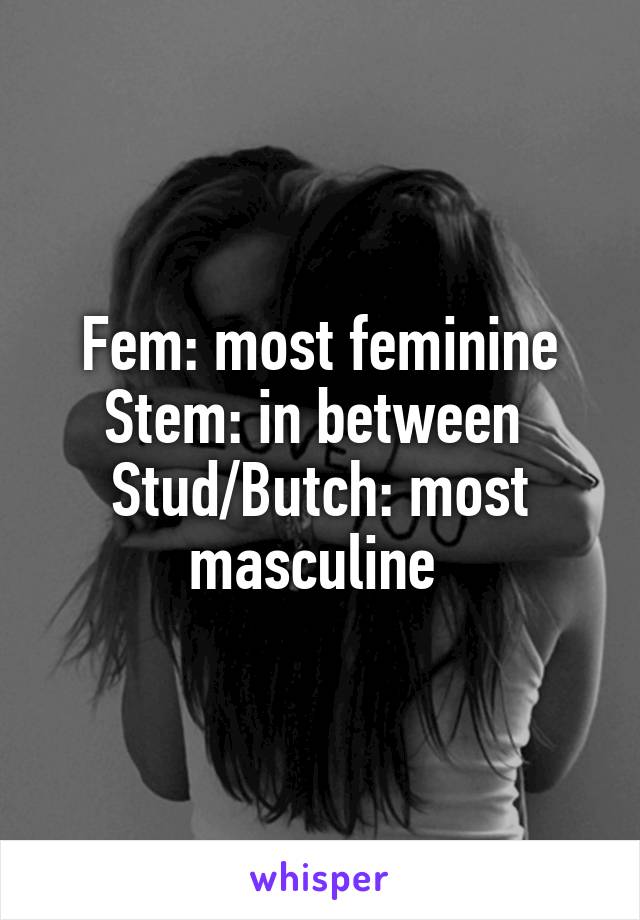 Fem: most feminine
Stem: in between 
Stud/Butch: most masculine 