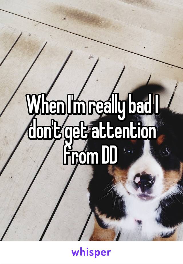 When I'm really bad I don't get attention from DD 