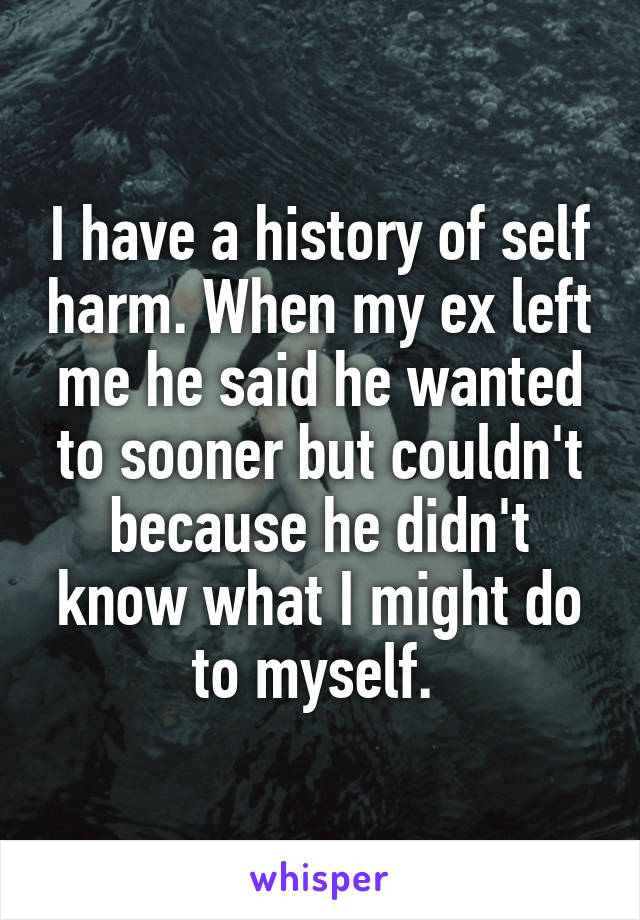 I have a history of self harm. When my ex left me he said he wanted to sooner but couldn't because he didn't know what I might do to myself. 