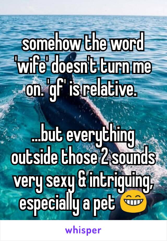 somehow the word 'wife' doesn't turn me on. 'gf' is relative. 

...but everything outside those 2 sounds very sexy & intriguing, especially a pet 😁