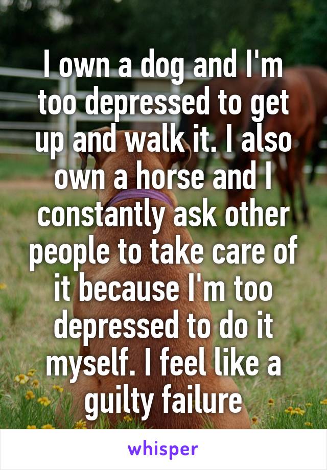 I own a dog and I'm too depressed to get up and walk it. I also own a horse and I constantly ask other people to take care of it because I'm too depressed to do it myself. I feel like a guilty failure