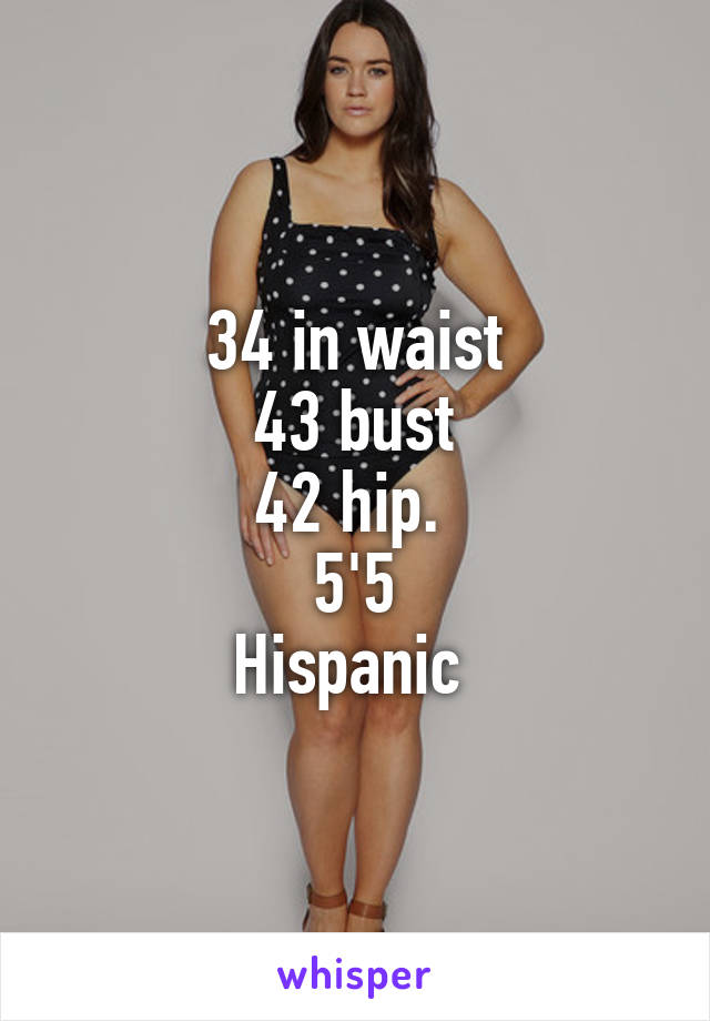 34 in waist
43 bust
42 hip. 
5'5
Hispanic 