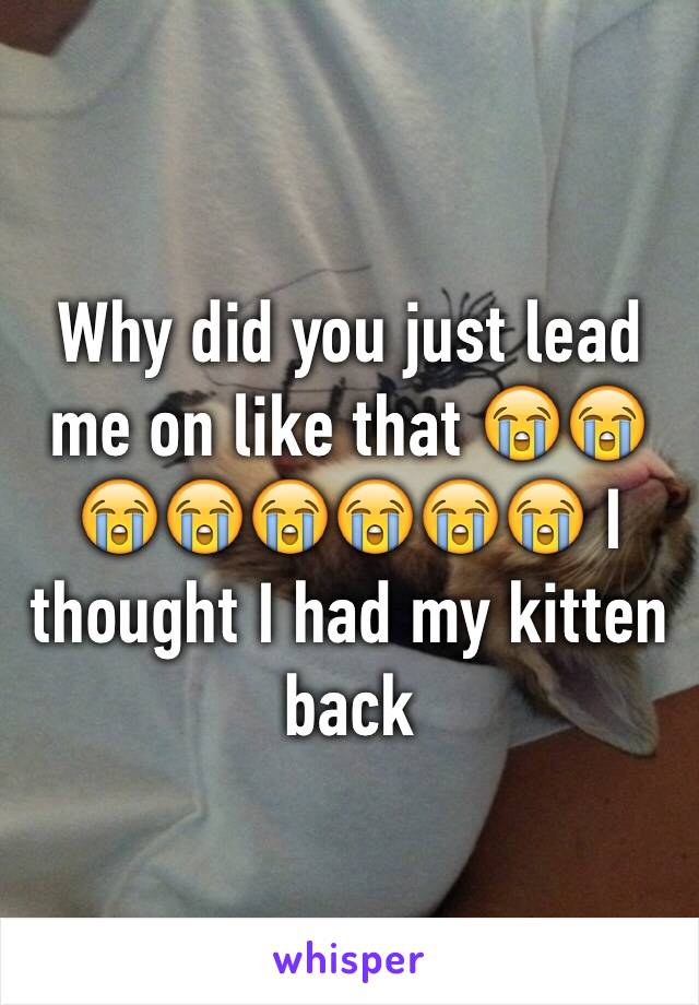 Why did you just lead me on like that 😭😭😭😭😭😭😭😭 I thought I had my kitten back 