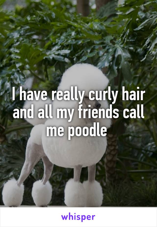 I have really curly hair and all my friends call me poodle 