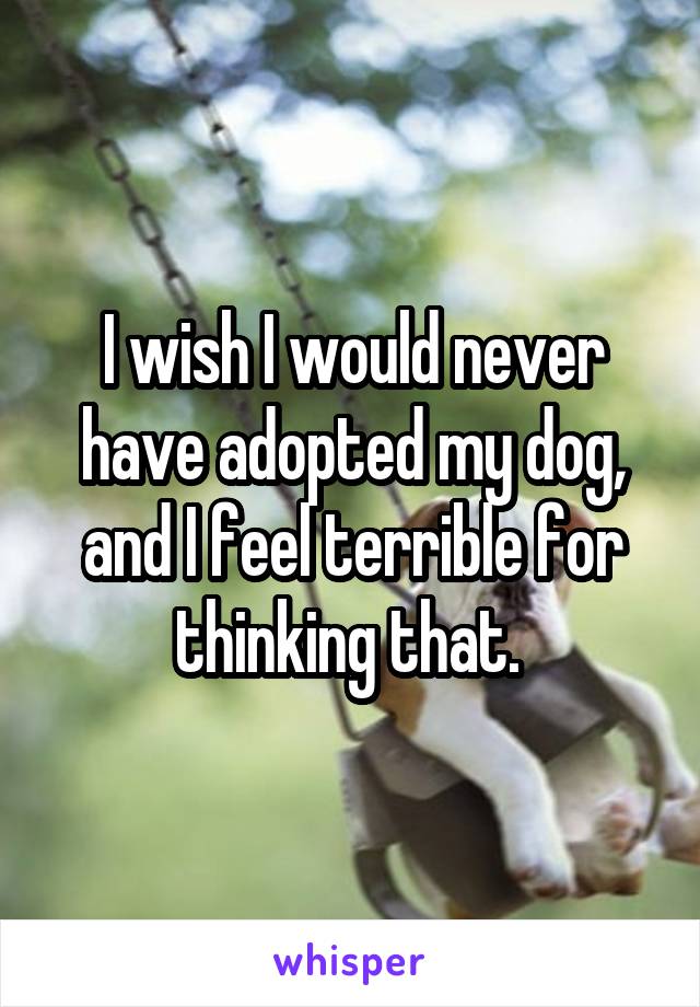 I wish I would never have adopted my dog, and I feel terrible for thinking that. 