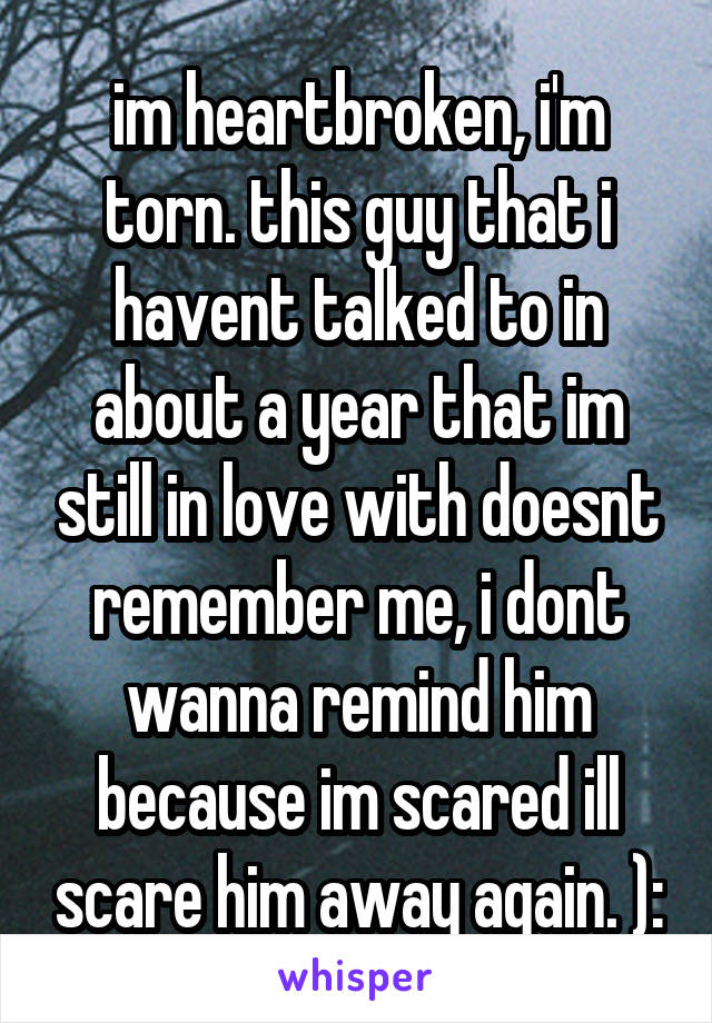 im heartbroken, i'm torn. this guy that i havent talked to in about a year that im still in love with doesnt remember me, i dont wanna remind him because im scared ill scare him away again. ):