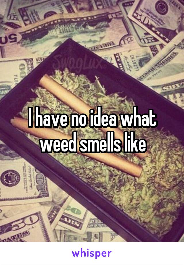 I have no idea what weed smells like