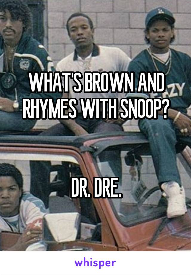 WHAT'S BROWN AND RHYMES WITH SNOOP?


DR. DRE.