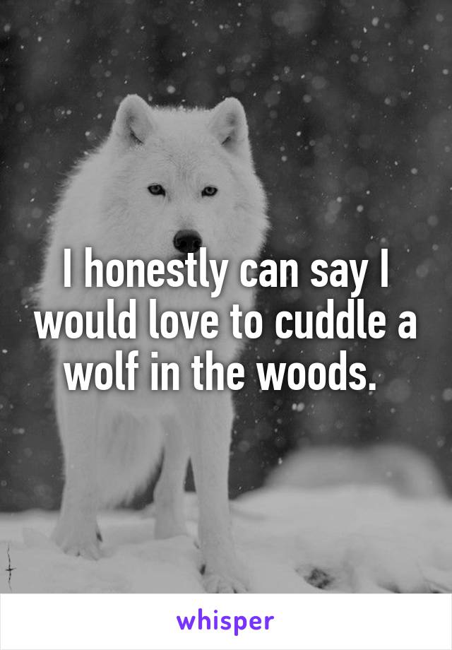 I honestly can say I would love to cuddle a wolf in the woods. 