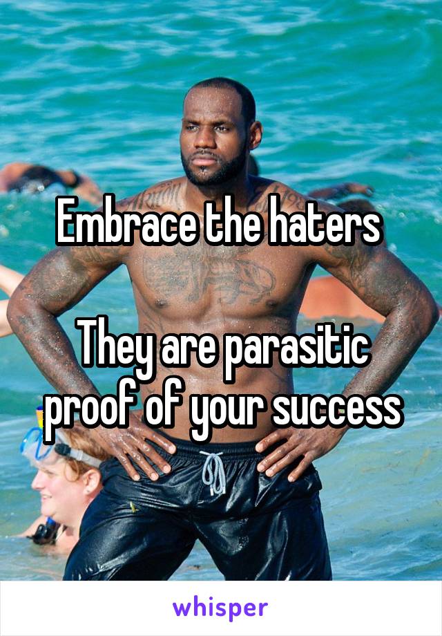 Embrace the haters 

They are parasitic proof of your success