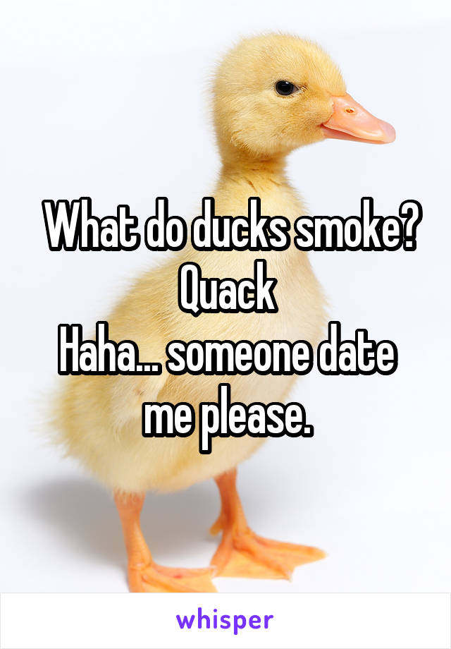  What do ducks smoke?
Quack
Haha... someone date me please.