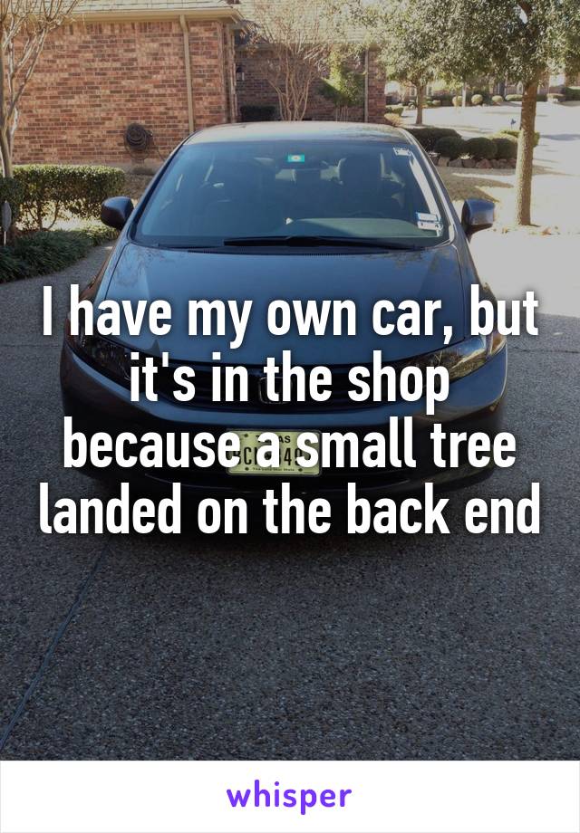 I have my own car, but it's in the shop because a small tree landed on the back end