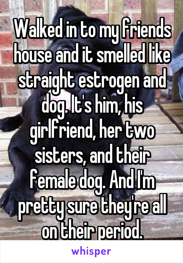 Walked in to my friends house and it smelled like straight estrogen and dog. It's him, his girlfriend, her two sisters, and their female dog. And I'm pretty sure they're all on their period.