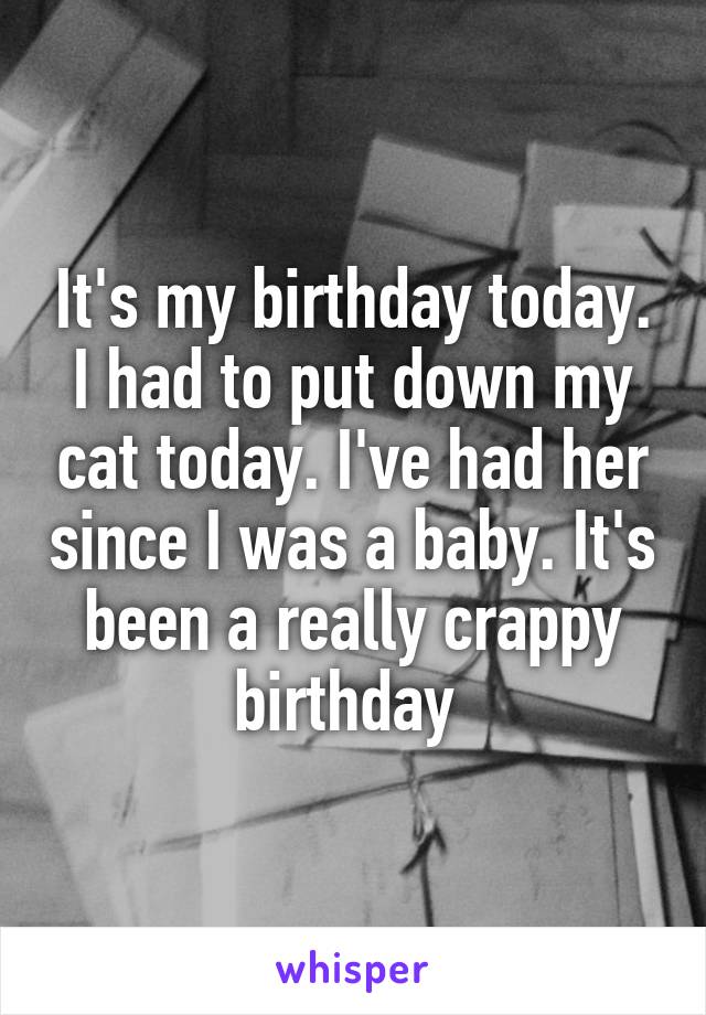 It's my birthday today. I had to put down my cat today. I've had her since I was a baby. It's been a really crappy birthday 