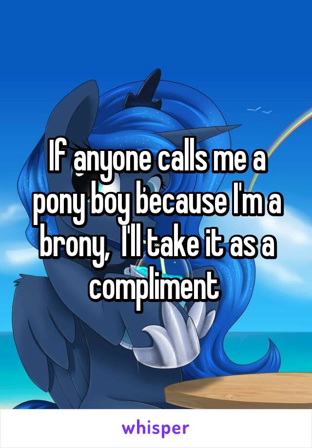 If anyone calls me a pony boy because I'm a brony,  I'll take it as a compliment 