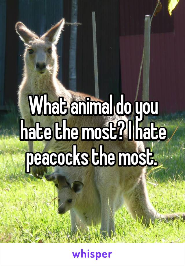 What animal do you hate the most? I hate peacocks the most. 