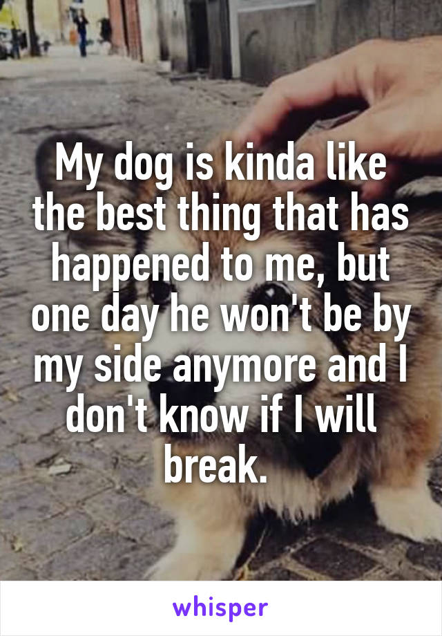 My dog is kinda like the best thing that has happened to me, but one day he won't be by my side anymore and I don't know if I will break. 