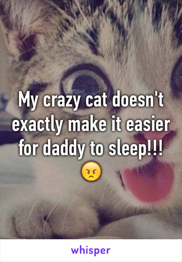 My crazy cat doesn't exactly make it easier for daddy to sleep!!! 😠