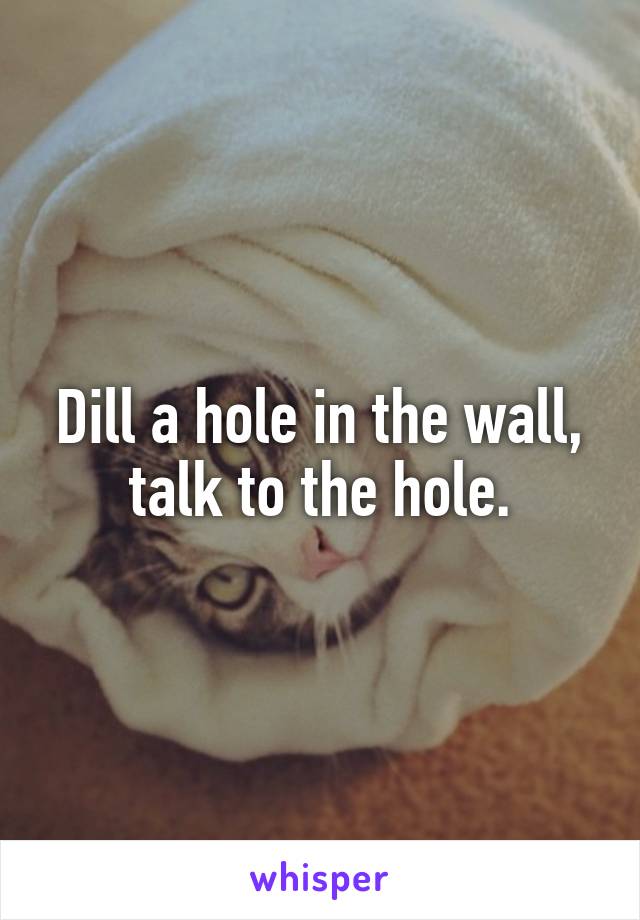 Dill a hole in the wall, talk to the hole.