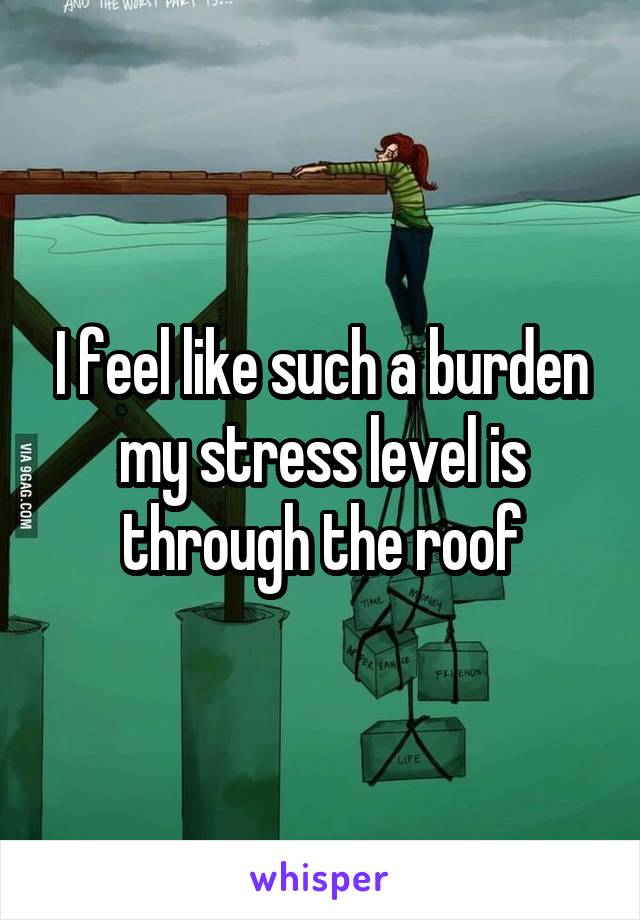 I feel like such a burden my stress level is through the roof