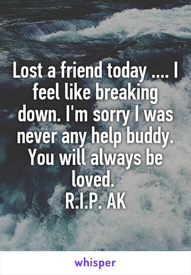 Lost a friend today .... I feel like breaking down. I'm sorry I was never any help buddy. You will always be loved. 
R.I.P. AK