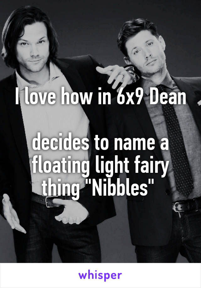 I love how in 6x9 Dean 
decides to name a floating light fairy thing "Nibbles" 